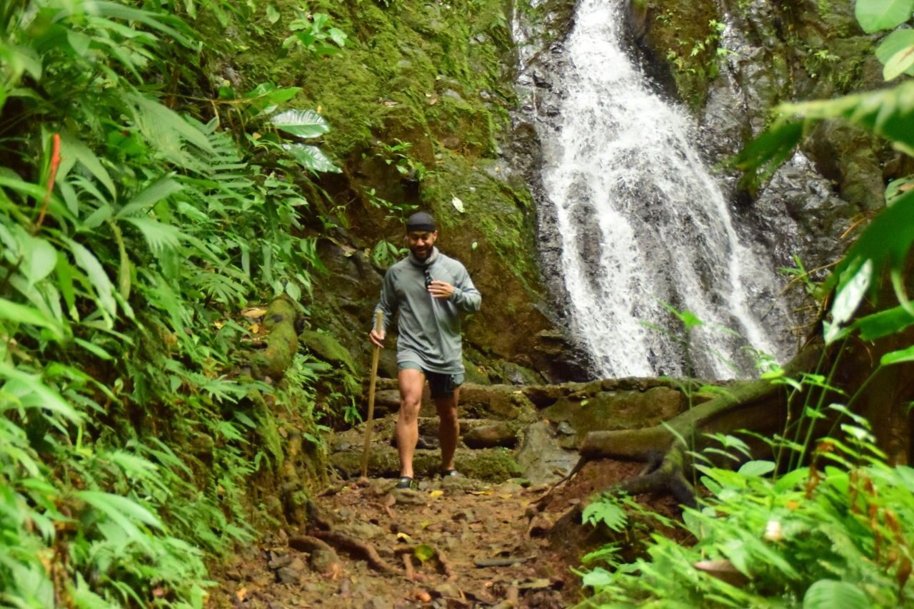 Guest hiking beside a rainforest waterfall